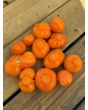 Tomato 'Aladdin's Lamp' Seeds (Naturally Grown)