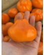 Tomato 'Aladdin's Lamp' Seeds (Naturally Grown)