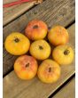 Tomato 'Thorburn's Lemon Blush' Seeds