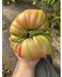 Tomato 'Bear Claw' Seeds (Certified Organic)
