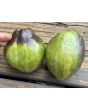 Tomato 'Rebel Starfighter VT16' Seeds