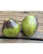 Tomato 'Rebel Starfighter VT16' Seeds