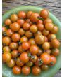 Tomato 'Sun Sugar Red Cherry' Seeds