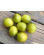 Tomato 'Green Grape' Seeds (Certified Organic)