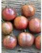 Tomato 'Sailor's Luck' Seeds