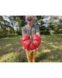 Tomato 'Bear Claw' Seeds (Certified Organic)