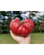 Tomato 'Bear Claw' Seeds (Certified Organic)