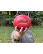 Tomato 'Bear Claw' Seeds (Certified Organic)