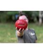 Tomato 'Bear Claw' Seeds (Certified Organic)