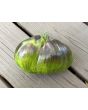 Tomato 'Rebel Starfighter VT16' Seeds