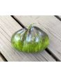 Tomato 'Rebel Starfighter VT16' Seeds