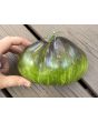Tomato 'Rebel Starfighter VT16' Seeds