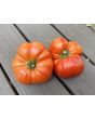 Tomato 'Big Zac' Seeds