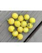 Tomato 'Seven Dwarfs' Seeds (Naturally Grown)