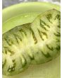 Tomato 'Rebel Starfighter VT16' Seeds