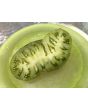 Tomato 'Rebel Starfighter VT16' Seeds