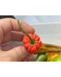 Hot Pepper 'Naga Morich' Seeds
