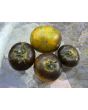 Tomato 'Kryptonite' Seeds