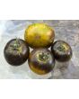 Tomato 'Kryptonite' Seeds