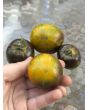 Tomato 'Kryptonite' Seeds