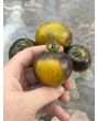 Tomato 'Kryptonite' Seeds