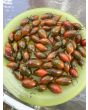 Tomato 'Emalia' Seeds