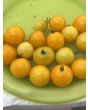Dwarf Tomato 'Eagle Smiley' Seeds