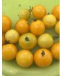 Dwarf Tomato 'Eagle Smiley' Seeds