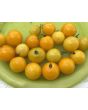 Dwarf Tomato 'Eagle Smiley' Seeds