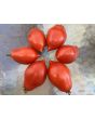 Tomato 'Ropreco Paste' Seeds (Certified Organic)