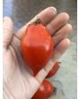 Tomato 'Ropreco Paste' Seeds (Certified Organic)