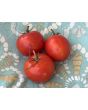 Tomato 'Versalskie' Seeds (Naturally Grown)