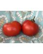 Tomato 'Versalskie' Seeds (Naturally Grown)