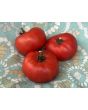 Tomato 'Rutgers' Seeds