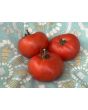 Tomato 'Rutgers' Seeds