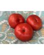 Tomato 'Rutgers' Seeds