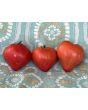 Tomato 'Dobrynya Nikitich' Seeds