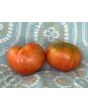 Tomato 'Donskoi' Seeds