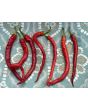 Sweet Pepper 'Corbaci' Seeds