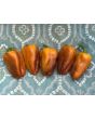 Sweet Pepper 'Blot' Seeds