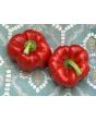 Sweet Pepper ‘Red Bell’ Seeds