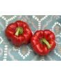 Sweet Pepper ‘Red Bell’ Seeds