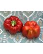 Sweet Pepper ‘Red Bell’ Seeds