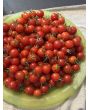 Tomato 'Renegade Spider' Seeds