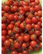 Tomato 'Renegade Spider' Seeds