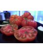 Tomato 'Marmande' 