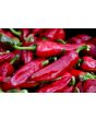 Hot Pepper ‘Espelette’