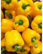 Sweet Pepper ‘Mini Yellow Bell’ Seeds (Certified Organic)