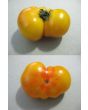 Tomato 'Rumi Banjan'