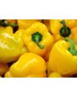 Sweet Pepper ‘Yellow Bell’ Seeds (Certified Organic)